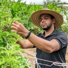 Profile picture for user LUCAS MATHEUS MONTEIRO DOS SANTOS